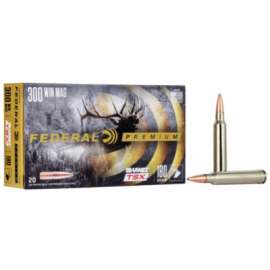 20RND 300WM 180GR Ammo