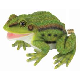 Resin Frog Spitter