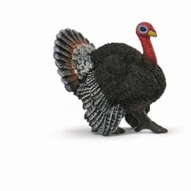 BRN Turkey