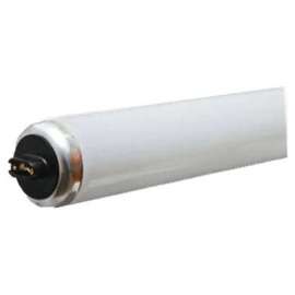 GE 60W 48" CW Fluo Bulb