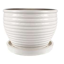 6" CRM Honey Planter