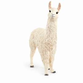WHT Llama