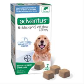 7PKAdvantus Chew LG Dog