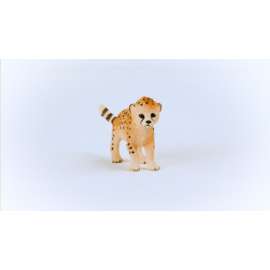 Cheetah Cub