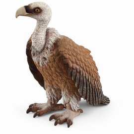 Vulture