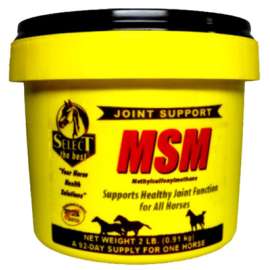 2LB MSM