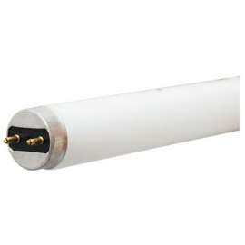 GE4' T8 SPP50 Fluo Bulb