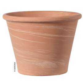 8" WHT Duo Vasum Pot