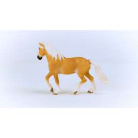 Haflinger Mare