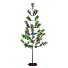 HW 4' Multi Aust Pine