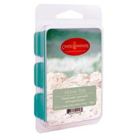 2.5OZ Ocean Wax Melts
