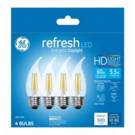 GE4PK 5.5W Day Ref Bulb
