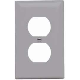 GRY 1G 1DPLX Wall Plate