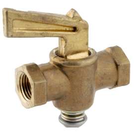 1/4" FPT PT Valve