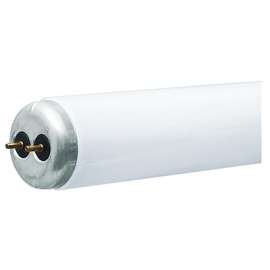 WP2PK 48" CW Fluo Tube
