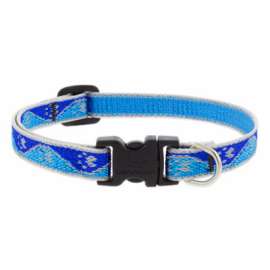 1/2x10-16"BP Dog Collar