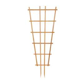 30x72 WD Fan Trellis