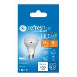 GE 5W Day R20 Ref Bulb