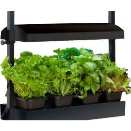 Micro Grow LGT Garden