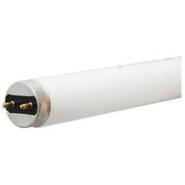 GE 32W 4' WHT T8 Tube