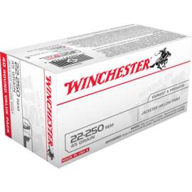 40RND 250 Rem RFL Ammo