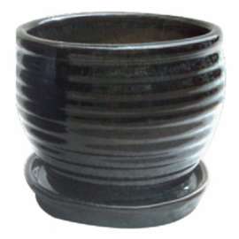 6"DripGRN Honey Planter