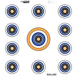 12" 11 Spot Target