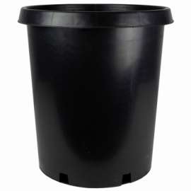 #15 Nursery Container