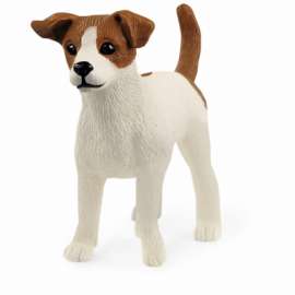 Jack Russell Terrier
