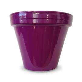 6.5" Viol Cera Planter