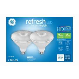 GE2PK 15W Day Par38Bulb
