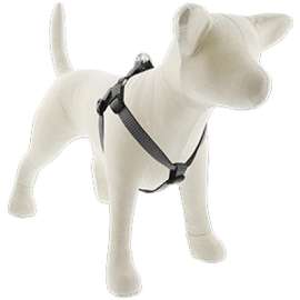3/4x21 GRAN Dog Harness