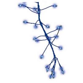 216LT BLU Big Seed Set