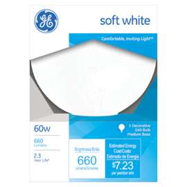 GE60W 5" WHT Globe Bulb