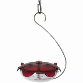 Ruby Hang Hummin Feeder