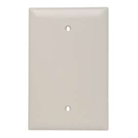 1G ALM Wall Plate