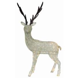 HW 62" Standing Buck