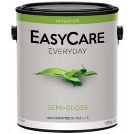 EVDSGP-GL Past SG Paint
