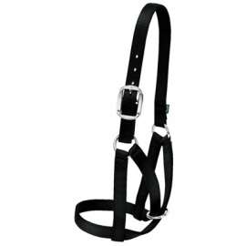 1"BLK Cow Barn Halter