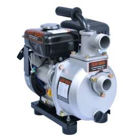 2RLAG1 60GPM WTR Pump