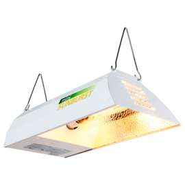 Min Sunburst/Reflector