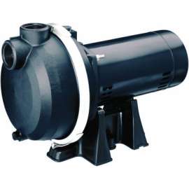 MP 2HP Sprinkler Pump