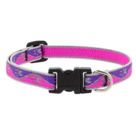 1/2x8-12"PP Dog Collar