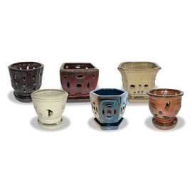 5.5" Orchid Pot ASSTD