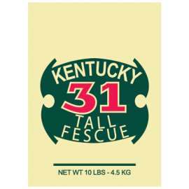 10LB Ky31 Grass Seed