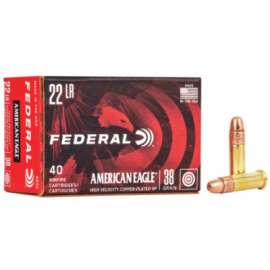 40RND AE 22LR Ammo