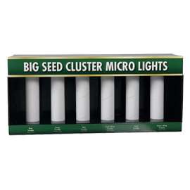 Big Seed Cluster DSP