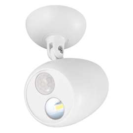 WHT Motion LED Light
