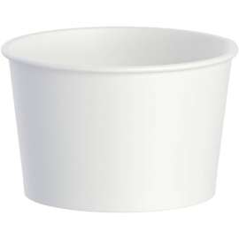 Solo Disposable Food Container