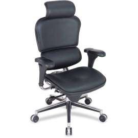 Raynor ergohuman LE9ERG High Back Executive Chair